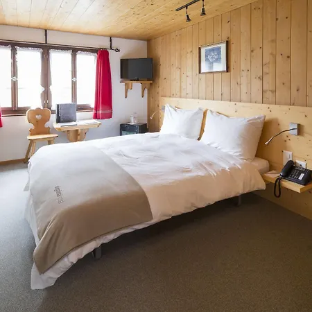 호텔 Buendnerhaus 3*