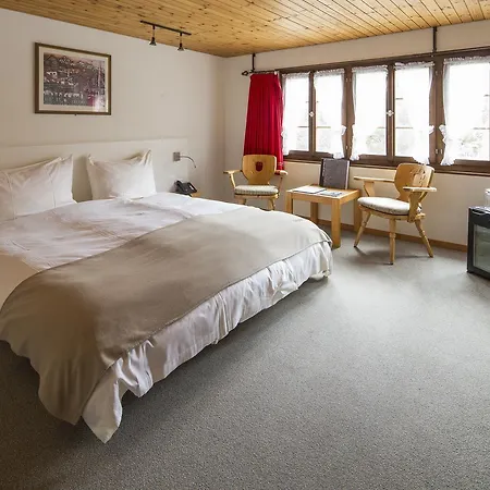 Buendnerhaus Отель 3*